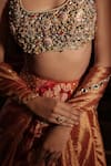 Vana Ethnics_Gold Silk Mirrors, Sequins, The Virasat Ornamental Embellished Lehenga Set _Online_at_Aza_Fashions