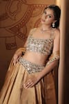 Vana Ethnics_Gold Tissue Mirrors, Sequins, Stones, The Kamalratna Embroidered Lehenga Set _Online_at_Aza_Fashions