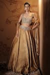 Buy_Vana Ethnics_Gold Tissue Mirrors, Sequins, Stones, The Kamalratna Embroidered Lehenga Set _at_Aza_Fashions