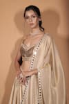 Buy_Vana Ethnics_Gold Tissue Sequins, Stones, Zari, Mirrors The Son Pari Embroidered Lehenga Set _Online_at_Aza_Fashions