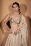Shop_Vana Ethnics_Gold Tissue Sequins, Stones, Zari, Mirrors The Son Pari Embroidered Lehenga Set _Online_at_Aza_Fashions