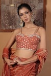 Shop_Vana Ethnics_Orange Tissue Embroidery, Zari, Sequins, The Ambar Sandhya Saree With Blouse _Online_at_Aza_Fashions