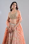Buy_Abhinav Mishra_Orange Chanderi, Organza Mirrors, Embroidery, Zari, Tassels Safron Lehenga Set _Online_at_Aza_Fashions
