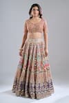 Abhinav Mishra_Multi Color Chanderi, Net Mirrors, Zari, Embroidery Rebecca Pastel Lehenga Set _at_Aza_Fashions