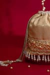 Shop_Amyra_Beige Embroidery, Pearls, Tassels, Beads, Lace Vivaah Embellished Bucket Bag - 