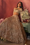 Shop_Isa By Dolly Wahal_Gold Net Embroidery, Diamonds, Crystals, Zari Bella Floral Bridal Lehenga Set _Online_at_Aza_Fashions