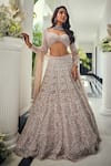 Buy_Isa By Dolly Wahal_Pink Net Crystals, Embroidery, Stones, Sequins, Embellished Bridal Lehenga Set _at_Aza_Fashions