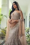 Buy_Isa By Dolly Wahal_Gold Net Sequins, Beads, Crystals, Embroidery Walnut Fishcut Lehenga Set 