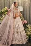 Isa By Dolly Wahal_Blush Silk, Net Embroidery, Sequins, Crystals, Beads, Esme Bridal Lehenga Set _Online_at_Aza_Fashions