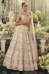 Isa By Dolly Wahal_Blush Silk, Net Embroidery, Sequins, Crystals, Beads, Esme Bridal Lehenga Set _at_Aza_Fashions