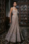 Mishru_Gold Tulle Embroidery, Sequins, Zari Sweetheart Neck Cindie Gown _at_Aza_Fashions
