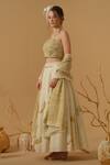 Abstract By Megha Jain Madaan_Gold Georgette, Handloom Cotton, Cotton, Tissue, Net Embellished Skirt Set _at_Aza_Fashions