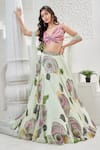 Shop_Priti Sahni_Mint Georgette, Net, Organza Embroidery, Floret Hand Painted Lehenga Set 