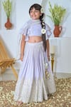 Shop_The Plum Bum_Lavender Georgette Gota Patti, Embroidery Lehenga Choli Set _Online_at_Aza_Fashions