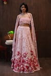 Buy_Twenty Nine_Pink Net Embroidery, Sequins, Fabric Garden Muse Floral Applique Lehenga Set _Online_at_Aza_Fashions