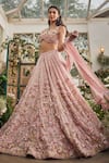 Buy_Baya_Blush Viscose, Net Embroidery, Applique, Sequins, 3d Floral And Lehenga Set 