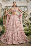 Buy_Baya_Blush Viscose, Net Embroidery, Applique, Sequins, 3d Floral And Lehenga Set _at_Aza_Fashions
