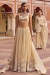 Buy_Lashkaraa_Gold Tissue, Shantoon, Net Embroidery, Sequins, Mirrors, Zari Silk Lehenga Set 