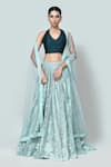 Buy_Sayisha_Mint Net, Silk Embroidery, Sequins V-, Halter Lehenga Set _at_Aza_Fashions