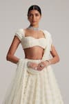 Vvani By Vani Vats_Off White Organza, Georgette, Net Mirrors, Pearls, And Drop Bridal Lehenga Set _Online_at_Aza_Fashions