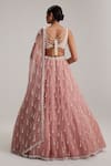 Shop_Vvani By Vani Vats_Pink Organza, Georgette Mirrors, Pearls, Tassels, Dusty Rose Long Lehenga Set _at_Aza_Fashions