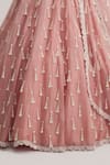 Shop_Vvani By Vani Vats_Pink Organza, Georgette Mirrors, Pearls, Tassels, Dusty Rose Long Lehenga Set _Online_at_Aza_Fashions