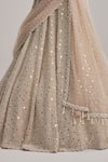 Buy_Vvani By Vani Vats_Beige Organza, Georgette, Net Mirrors, Pearls, Dense And Work Lehenga Set _Online_at_Aza_Fashions