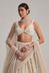 Vvani By Vani Vats_Beige Organza, Georgette, Net Mirrors, Pearls, Dense And Work Bridal Lehenga Set _Online_at_Aza_Fashions