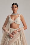 Vvani By Vani Vats_Beige Organza, Georgette, Net Mirrors, And Work Bridal Lehenga Set With Veil _Online_at_Aza_Fashions
