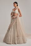 Shop_Vvani By Vani Vats_Beige Organza, Georgette, Net Mirrors, And Work Bridal Lehenga Set With Veil _Online_at_Aza_Fashions