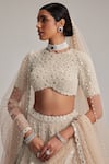 Shop_Vvani By Vani Vats_Beige Organza, Georgette, Net Mirrors, And Work Bridal Lehenga Set With Veil _Online_at_Aza_Fashions