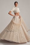 Vvani By Vani Vats_Beige Organza, Georgette, Net Mirrors, Pearls, Embroidery And Bridal Lehenga Set _at_Aza_Fashions