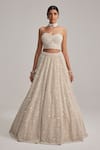 Buy_Vvani By Vani Vats_Beige Organza, Georgette Mirrors, Pearls, Dense And Work Corset Lehenga Set _at_Aza_Fashions