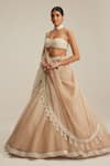 Shop_Vvani By Vani Vats_Beige Organza, Georgette Mirrors, Pearls, Embroidery, Tassels Lehenga Set _Online_at_Aza_Fashions