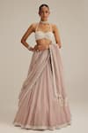 Shop_Vvani By Vani Vats_Pink Organza, Georgette Embroidery, Mirrors, Beads, Ash Linear Lehenga Set _Online_at_Aza_Fashions