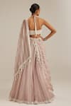 Shop_Vvani By Vani Vats_Pink Organza, Georgette Embroidery, Mirrors, Beads, Ash Linear Lehenga Set _at_Aza_Fashions