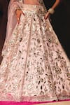 Buy_Angad Singh_Pink Organza Mirrors, Applique, Gota Patti V-neck Bridal Lehenga Set 
