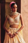 Angad Singh_Gold Silk Mirrors, Zari, Gota Patti Champagne Raw Bridal Lehenga Set _Online_at_Aza_Fashions