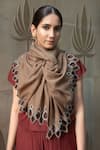 Mauli Cashmere_Brown Shimmering Pattern Embroidered Wool And Silk Stole _Online_at_Aza_Fashions
