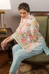 Shop_Mauli Cashmere_Beige And The & Embroidered Stole _at_Aza_Fashions
