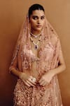 Buy_Dolly J_Rose Gold Net Embroidery, Crystals, Stones, Sequins, Beads Amberlux Lehenga Set _Online_at_Aza_Fashions