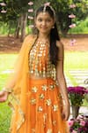 Panchhi By Kanupriya Tibrewala_Orange Silk, Net Mirrors, Embroidery, Tassels, Gota Patti, Ek Phool Lehenga Set _Online_at_Aza_Fashions