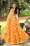 Shop_Panchhi By Kanupriya Tibrewala_Orange Silk, Net Mirrors, Embroidery, Tassels, Gota Patti, Ek Phool Lehenga Set _Online_at_Aza_Fashions