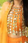 Panchhi By Kanupriya Tibrewala_Orange Silk, Net Mirrors, Embroidery, Tassels, Gota Patti, Ek Phool Lehenga Set _at_Aza_Fashions