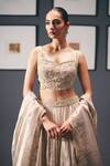 Sana Barreja_Ivory Tissue, Organza, Silk Zari, Cut Work, Water Lilies Pleated Lehenga Set _at_Aza_Fashions