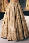 Shop_Sana Barreja_Gold Organza Embroidery, Zari, Sequins, Beads, Crystals The Dream Lehenga Set _Online_at_Aza_Fashions