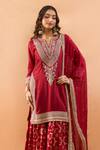 Gopi Vaid_Red Tussar, Organza Embroidery, Zari V-neck Kurta And Printed Sharara Set _at_Aza_Fashions