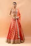 Buy_Gopi Vaid_Orange Tussar, Organza Embroidery, Sequins, Zari, Tassels V-neck Lehenga Set _Online_at_Aza_Fashions