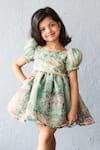 Pinkcow designs pvt ltd_Green Organza Lace Floral Print Puff Sleeve A-line Dress _Online_at_Aza_Fashions