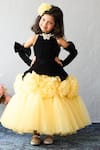 Buy_Pinkcow designs pvt ltd_Black Velvet, Net Brooches, Ruffles, Bows Cold-shoulder And Tulle Rosette Gown _at_Aza_Fashions